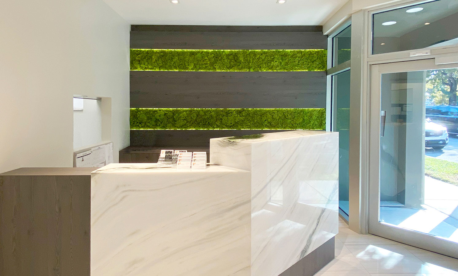 Projetos - The Moss Project